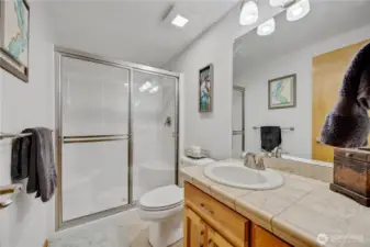 Lower Living Guest Suite Bathroom