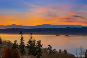 Watch golden sunsets, brewing storms, world traveling vessels and a wide array of wildlife soaring before your eyes.