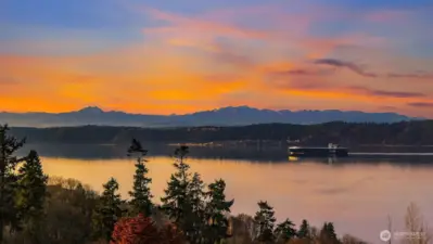 Take a chair and watch the natural show.