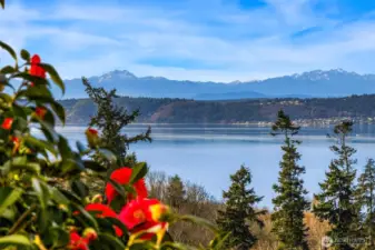 More views from south corner of the house.