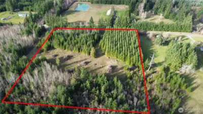 Boundary lines are for locational reference only and are not survey accurate.