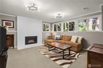 gas fireplace in spacious family room + extra finished room off family room