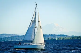 Sailing on Lake Washington