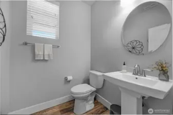 Downstairs powder room off of mudroom area