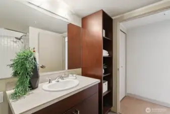 Full Bathroom on Lower Level