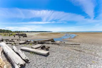 The Grand Bay beach with Terrell Creek ending here into the bay.  Kayaks, paddleboards...low tides provide a lot of soft sand for beach combing, clamming and small boats can be anchored for crabbing August through October crab season.