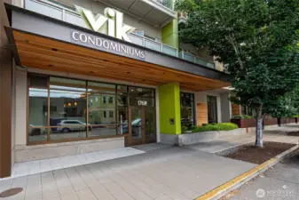 Welcome to the Vik