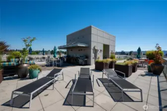 expansive roof top deck with dog wash area, dog run and barbeque