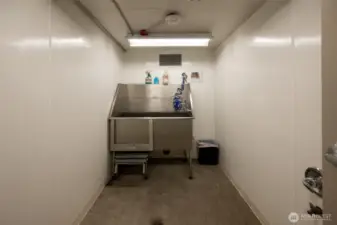 dog wash
