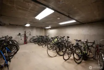 store your bike(s) without sacrificing your own living or storage space