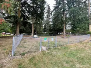 Fenced dog park