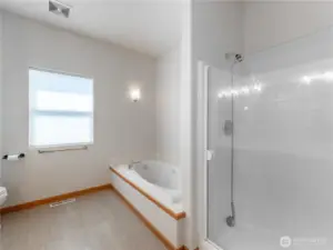 Primary Soaking Tub and Shower