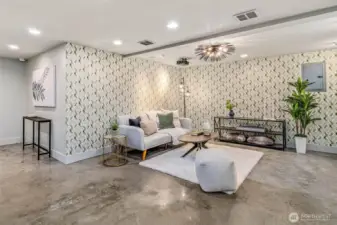 Home Theater Area