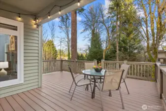 Expansive Deck Perfect for Entertaining!