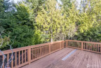 Enjoy the forest setting of this entertainment-sized multi-level deck