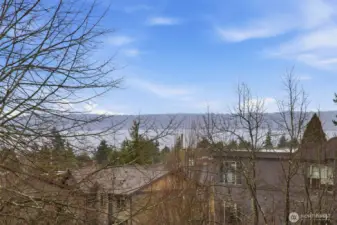 Views of the Sound from Primary suite on upper level.