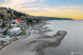 Looking South toward Lincoln Park