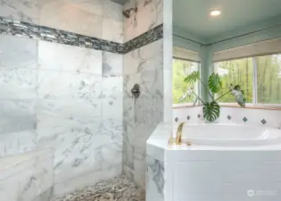 Beautifully updated walk in shower with soaking tub.