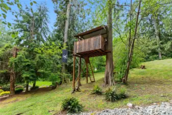 The TREE HOUSE!