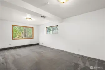 Bedroom #5 - lower level