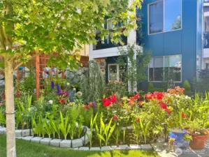 Thoughtfully planned and planted for year round enjoyment.