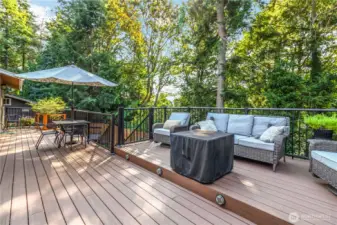 Massive deck with trex flooring