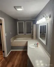 Master bathroom