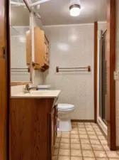 Lower Level Bathroom