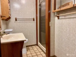 Lower Level Bathroom