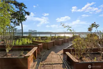 The garden area, featuring raised garden  beds, invites you to cultivate your own  vegetables, herbs, and flowers in a  thoughtfully designed space. Whether you’re  enjoying the serene waterfront views,  tending to your garden, or simply relishing  the privacy of the large yard, this home offers  a unique blend of natural beauty and  outdoor enjoyment.