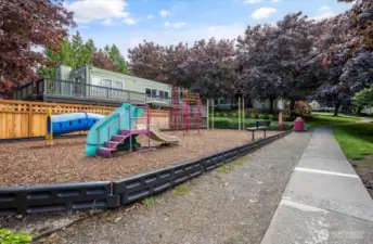 Community Playground