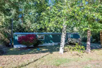 Bushes in front of windows have been removed.