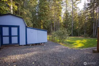 storage shed and fruit trees to the right