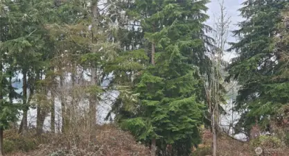 Filtered lake view year round.