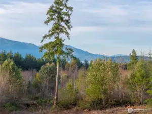 Views from the ground