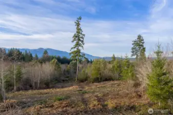 Cleared areas to help you visualize