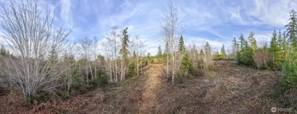 View corridors cleared