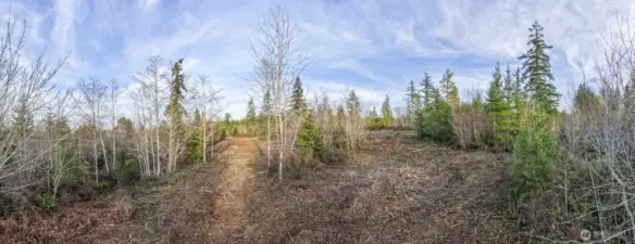 Walk the property and visualize where your home will go