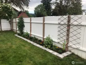 Spring time back yard.