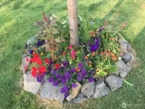 This back yard is a gardeners delight!