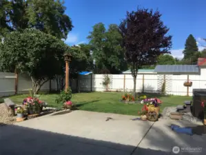 sprint time back yard.