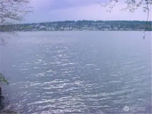 Waterfront of Lake Washionton