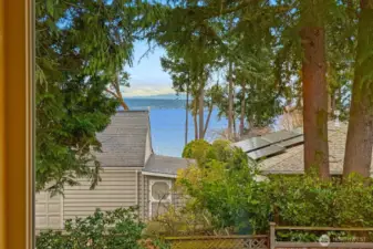 Filtered Puget Sound views framed by mature trees