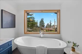 Soaking tub with tranquil outlook