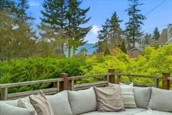 Elevated deck surrounded by greenery