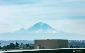 View from Rooftop Deck