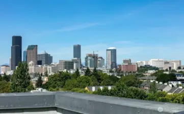 View from Rooftop Deck