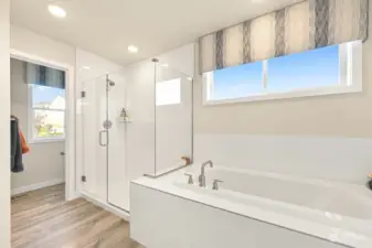 Soaking Tub and shower with frameless door