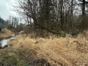 Hanaford Creek runs along a portion of Eastern property line.