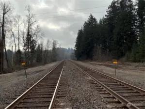 Railroad tracks that run along Eastern property line.